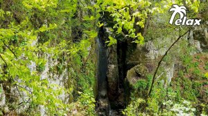 Nature Sounds at the Secret Waterfall and Relaxation in the Spring Forest