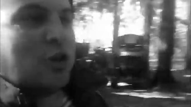 Выезд бизонов 2 смотреть онлайн