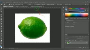 Выделение №2. Уроки фотошопа. №8