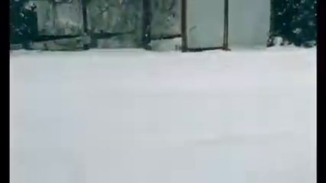 Зима опоздала на 3 месяца Одесса 27.02.18 смотреть онлайн