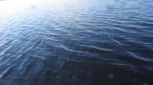 Лодочный мотор "Кама" работа