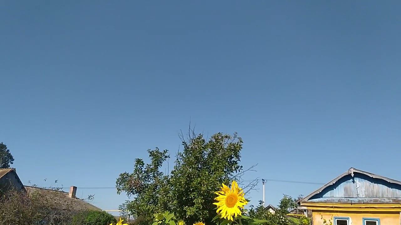 утренний сельский вайб смотреть онлайн