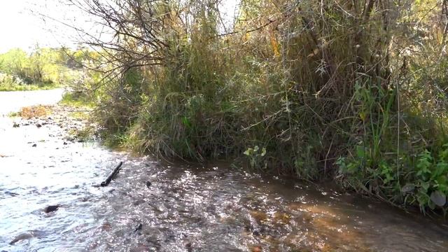 Giant Diamond in my hands: On the river, where is gold under your feet! смотреть онлайн