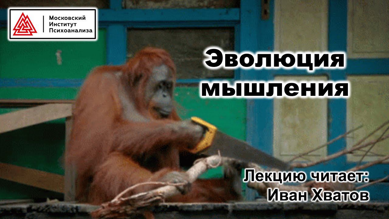 07. Мышление животных