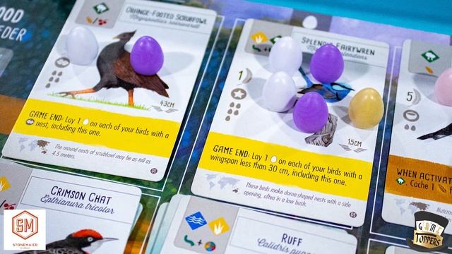 Wingspan: Oceania Expansion - Our Thoughts (Board Game) смотреть онлайн