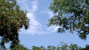 где-то есть город