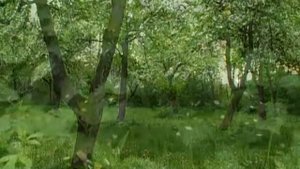 Учитель покаяния. Святитель Игнатий (Брянчанинов)
