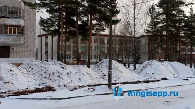 "Полицейского" положили у кингисеппской школы № 1 в День народного единства. KINGISEPP.RU смотреть онлайн