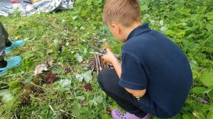 Выживание в лесу