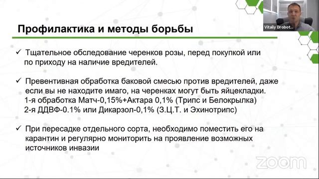 Новый ТРИПС! Как БОРОТЬСЯ? Echinothrips americanus Эхинотрипс американский смотреть онлайн