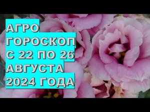 Агрогороскоп с 22 по 26 августа 2024 года Agrohoroscope from August 22 to August 26, 2024