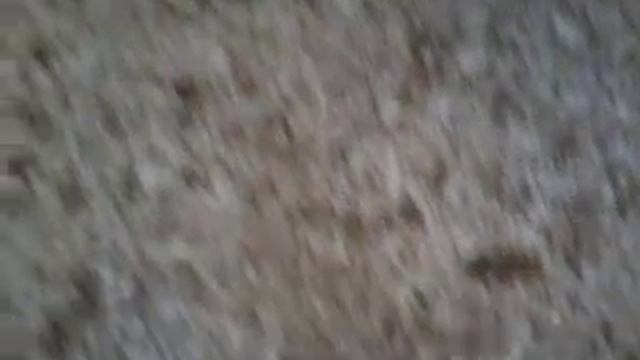 Столешница кварц. ukr_eurstone@ukr.net смотреть онлайн