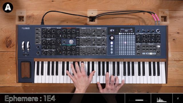 We've Never Heard a Synth Quite Like This..? | Arturia PolyBrute - Playing Only!