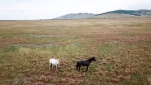 Путешествие по Баргузинской долине. Часть 1