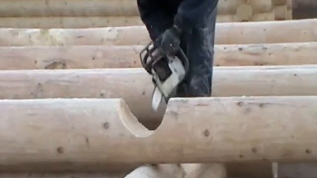 БорИзба - разметка и рубка в чашу смотреть онлайн