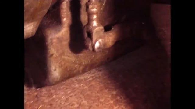 обзор дефиктовка двигателя NSU 501 для последующей реставрации смотреть онлайн