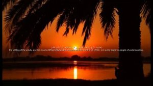 Мухаммад Тарик сура аль бакара Tareq Mohammad Surah AlBaqarah Full ❤️ Best Voice Heart melts سورة