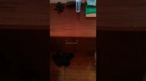Отдых  май 2017 год военный санаторий Ялта