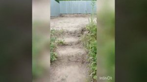 Подготовка территории под детскую площадку