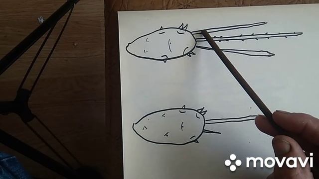 ЧТО МОЖНО СДЕЛАТЬ С СИЛЬНО ПРОРОСШИМИ КЛУБНЯМИ смотреть онлайн