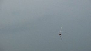 ЛУЧШИЙ ПОПЛАВОК. Рыбалка на Поплавок кивок.