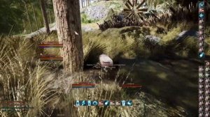 Прокачка Taming/Приручение Mortal online 2 #games #mo2