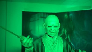 Гарри Поттер - Новогоднее мероприятие для детей сотрудников