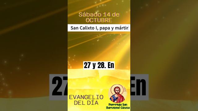 #EvangelioDiario 🔺 Sábado 14 de Octubre del 2023 ~ San Calixto I, papa y mártir | P. San Bartolomé