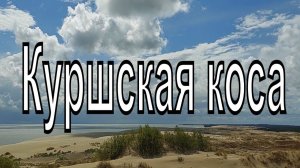 Национальный парк Куршская коса. Калининградская область. Балтийское море.