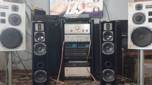 What is inside #Quadral Amun MK VI phonologue Gold? & #Technics su ma 10 Test