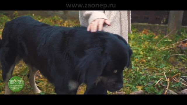 Отзыв о работе ЕВРОБИОН #8 смотреть онлайн