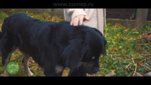 Отзыв о работе ЕВРОБИОН #8