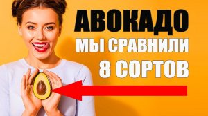 Авокадо Польза. Мы сравнили 8 сортов и нашли лучший. Рецепты