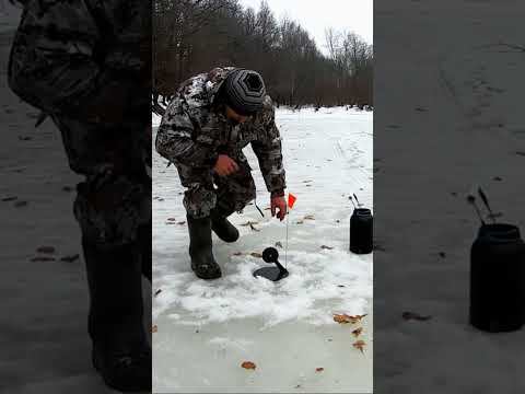 НЕ ОЖИДАЛ ТАКОГО,КОГДА ПРИШЁЛ ПРОВЕРЯТЬ ЖЕРЛИЦЫ смотреть онлайн