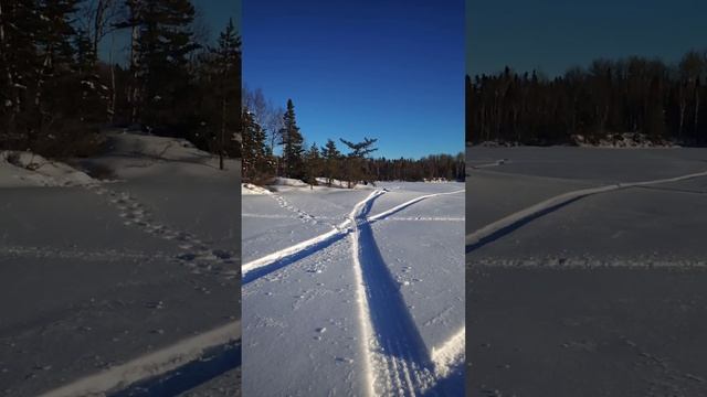Tinger Dog V2 First Ride смотреть онлайн