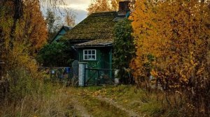 ПАМЯТИ МИХАИЛА ЕВДОКИМОВА...