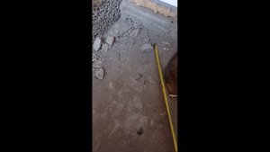 #крыса#шок#в_подвале#shorts Крысаааа!Шок размер!!