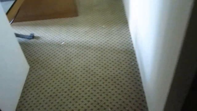 Укладка ковролина с бордером гостиница 10000 м2 смотреть онлайн