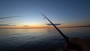 Ловля СУДАКА! Финский Залив. Дамба Морская сторона.