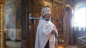 Протоиерей Владимир Агриков (проповедь за 2015.10.04)