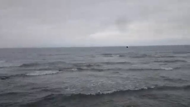 Беспокойное японское море, омывающее остров Русский май 2019