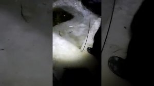рыбалка на паук (подъемник) зимой
