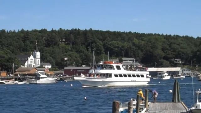 pink lady 2 returning from another great whale watching cruise смотреть онлайн