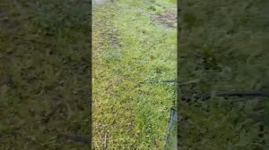 Купили комбайн Дон 1500