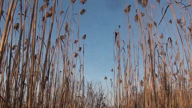 р Сула в г Ромны смотреть онлайн