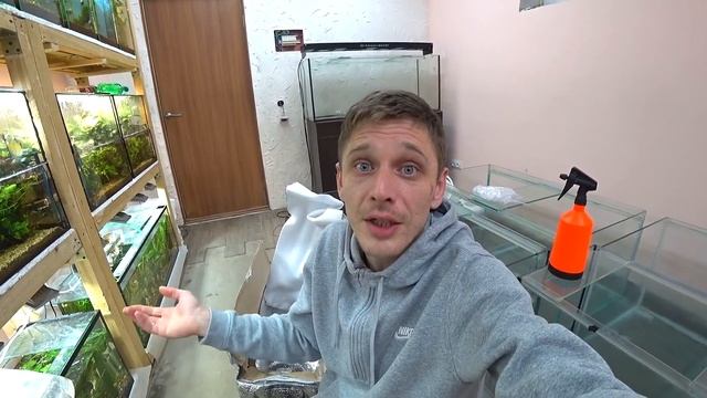 Новые рыбки. Получил посылку смотреть онлайн