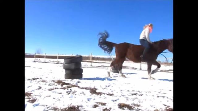 КОНКУР|НЕУДАЧИ|НЕТ ПОСАДКИ|НЕ СУДИТЕ СТРОГО смотреть онлайн