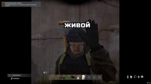 Пара гнилых карпов [DayZ Stalker RP]