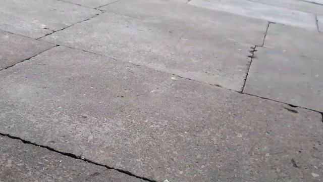 В поисках цветущих садов в Армении