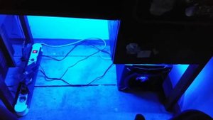 Genius Sw-G 2.1 2000 test ;)